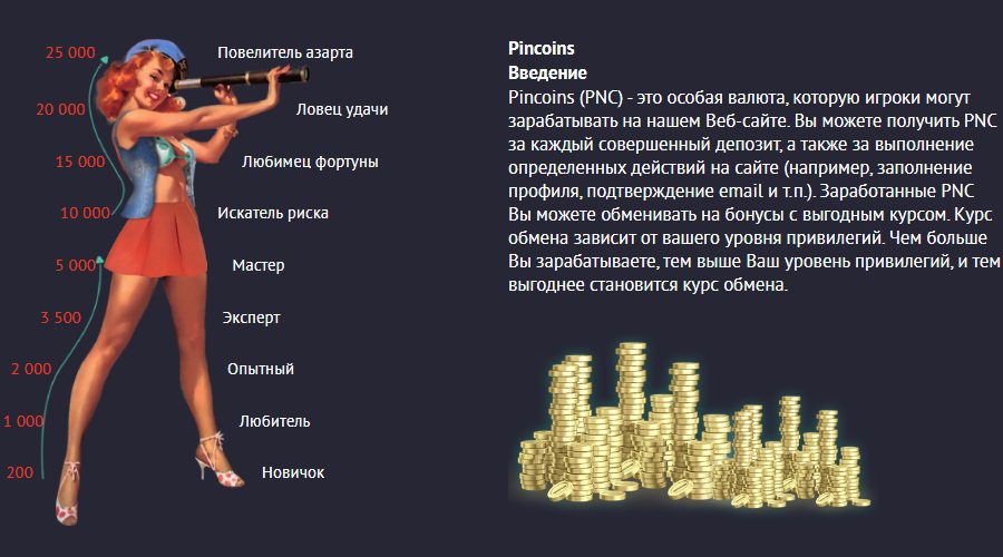 Система Пинкоинов